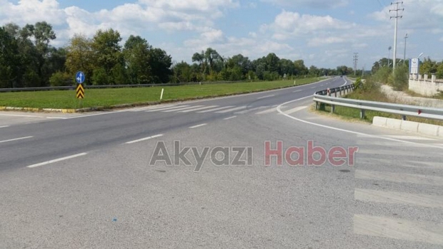 Fıkra gibi yaya geçidi