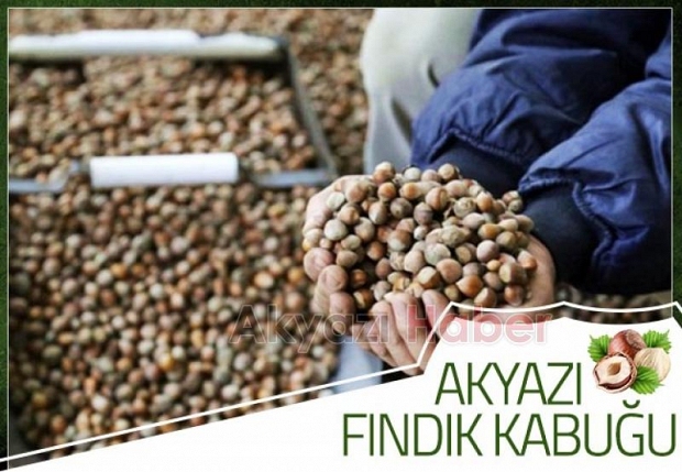 Findik Kabugunda Sok Fiyat Akyazi Haber Akyazi Nin Bir Numarali Haber Sitesi Sakarya Haber