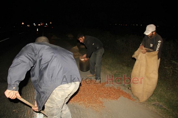 Fındık Yağmalama İhbarı Jandarmayı Harekete Geçirdi