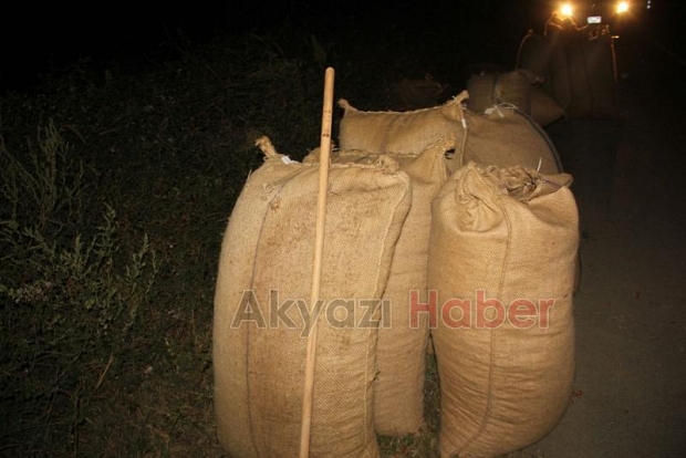 Fındık Yağmalama İhbarı Jandarmayı Harekete Geçirdi