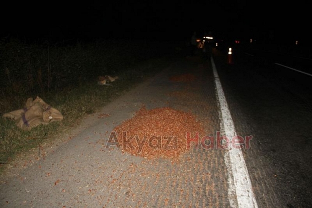 Fındık Yağmalama İhbarı Jandarmayı Harekete Geçirdi