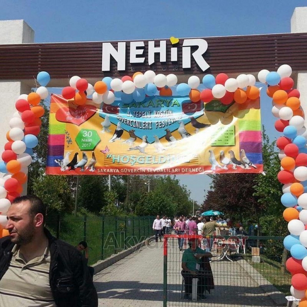 Güvercin Severler Bu Festivalde Buluşuyor