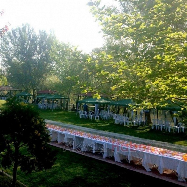 Güvercin Severler Bu Festivalde Buluşuyor