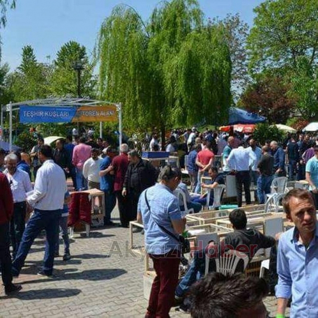 Güvercin Severler Bu Festivalde Buluşuyor