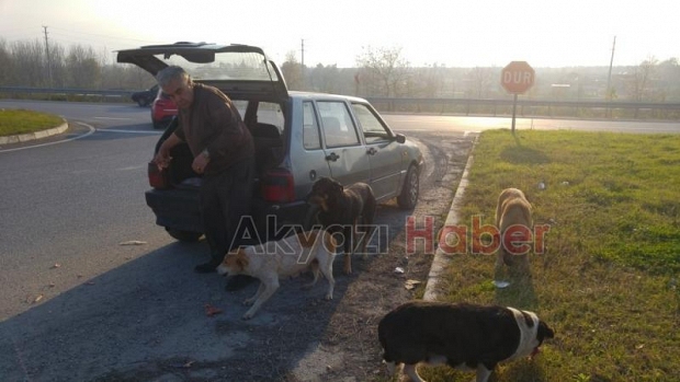 Her gün Kendi İmkanlarıyla Sokak Hayvanlarını Besliyor