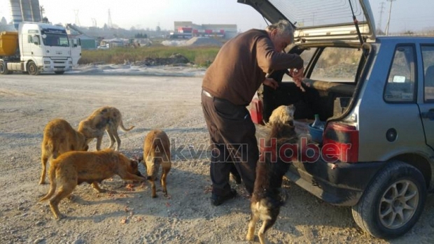 Her gün Kendi İmkanlarıyla Sokak Hayvanlarını Besliyor