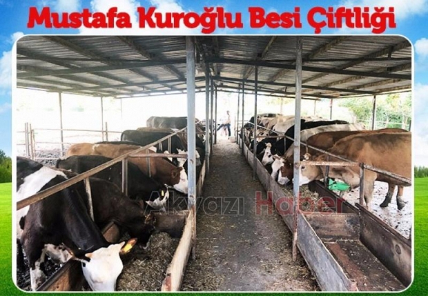 Hisse ve Kurbanlık satışları başlamıştır