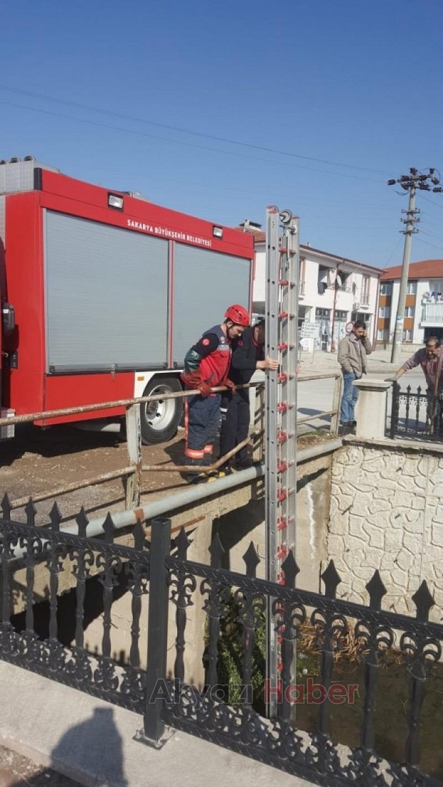 İki gündür derede mahsur kaldı