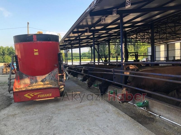 İkizler Besi Hisse ve Kurbanlık Satışları Başladı