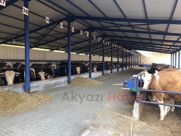İkizler Besi Hisse ve Kurbanlık Satışları Başladı