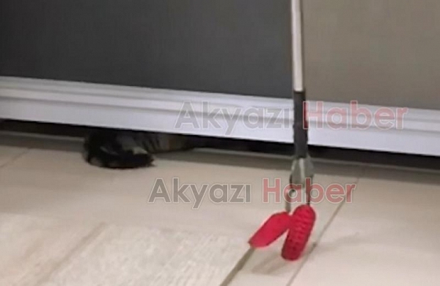 İş yerinde sıkışan kedi  İtfaiyecileri terletti