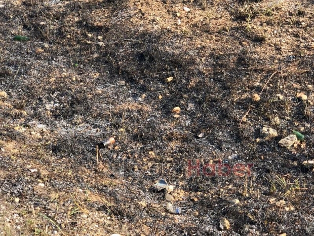 İtfaiye yetişmese ormana sıçrayacaktı