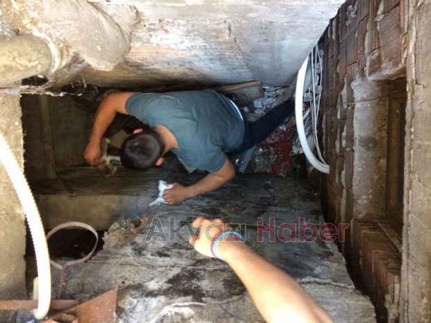 İtfaiyeden Kedi Kurtarma Operasyonu
