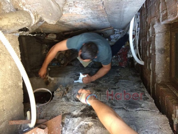 İtfaiyeden Kedi Kurtarma Operasyonu
