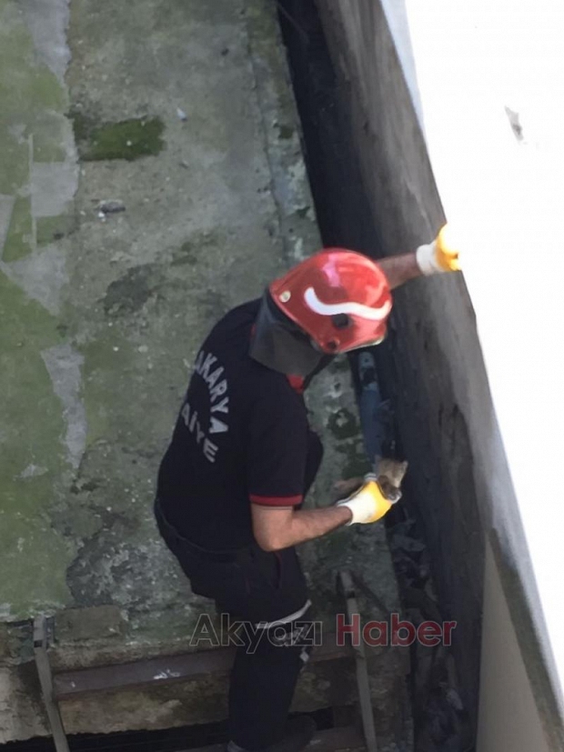 İtfaiyeden Kedi Kurtarma Operasyonu