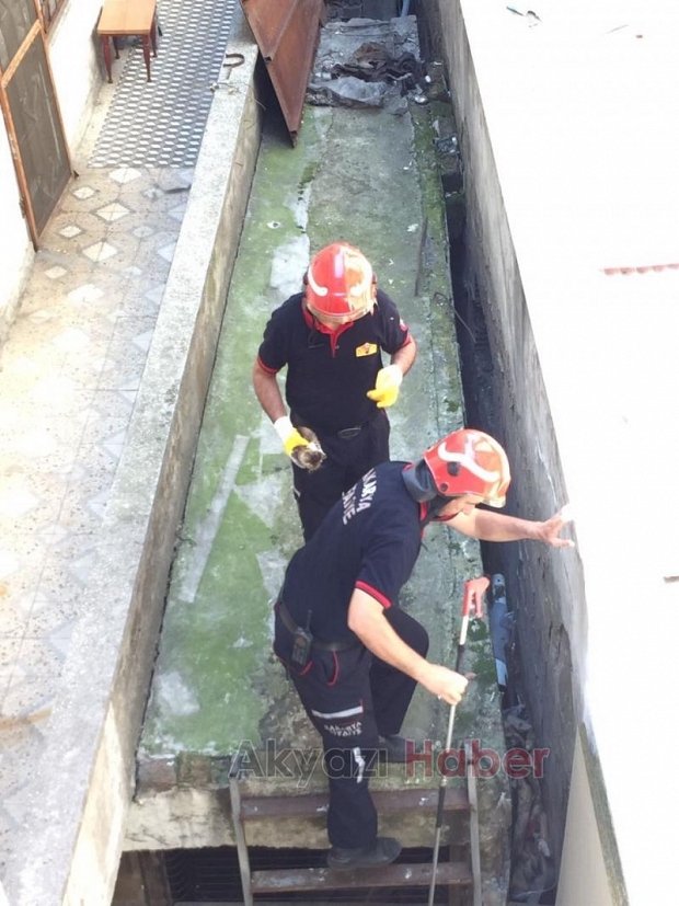 İtfaiyeden Kedi Kurtarma Operasyonu