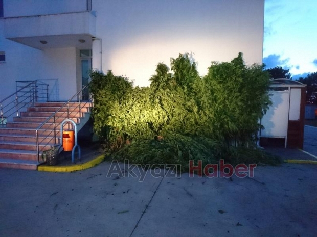 Jandarma baskında ortaya çıkardı 40 metre derinlikte