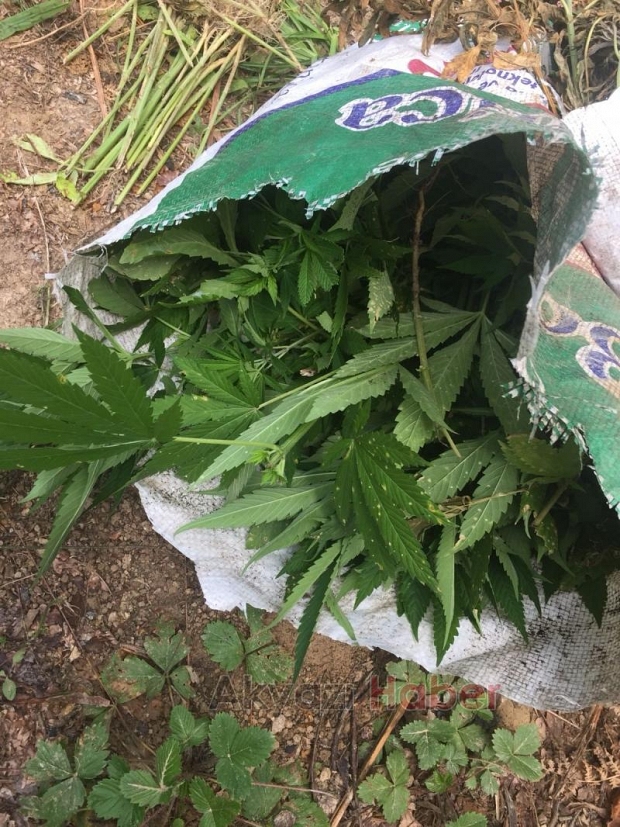 JANDARMA'DAN KAÇIŞ YOK