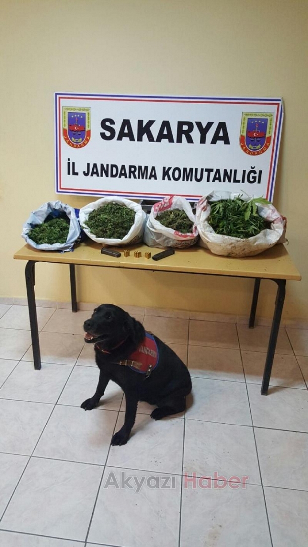 Jandarma Uyuşturucu Tacirini Affetmedi