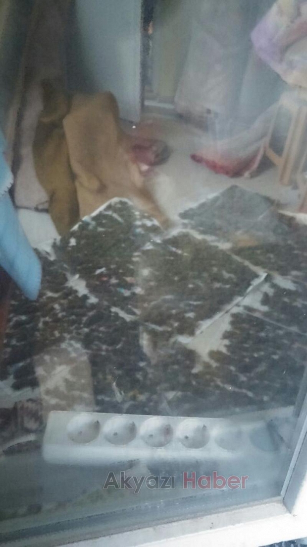 Jandarma Uyuşturucu Tacirini Affetmedi
