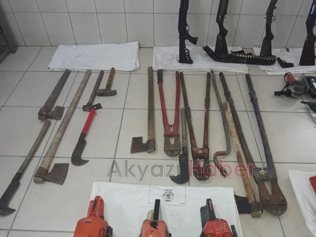 Akyazı jandarma hırsızlık çetesini çökertti