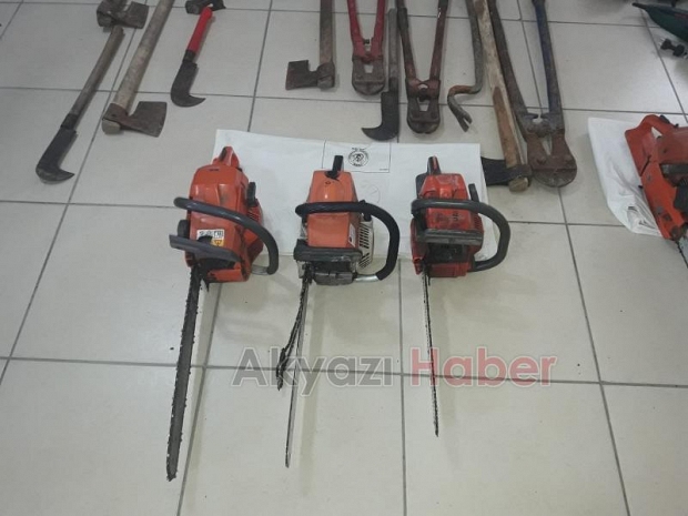 Akyazı jandarma hırsızlık çetesini çökertti