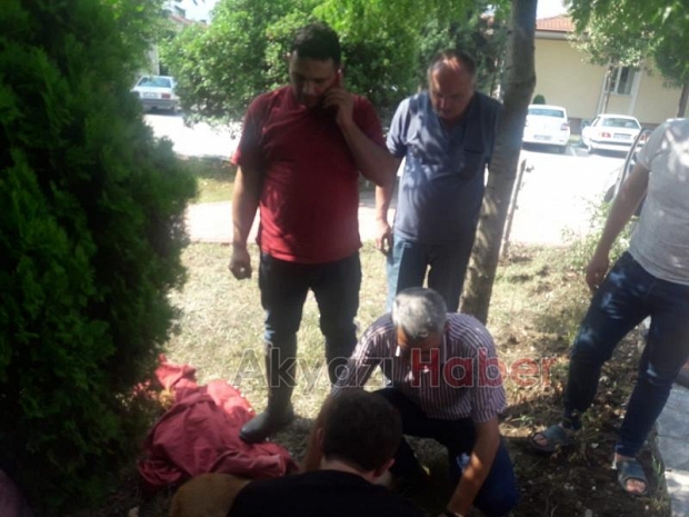 KARAPÜRÇEKTE YARALI KARACA