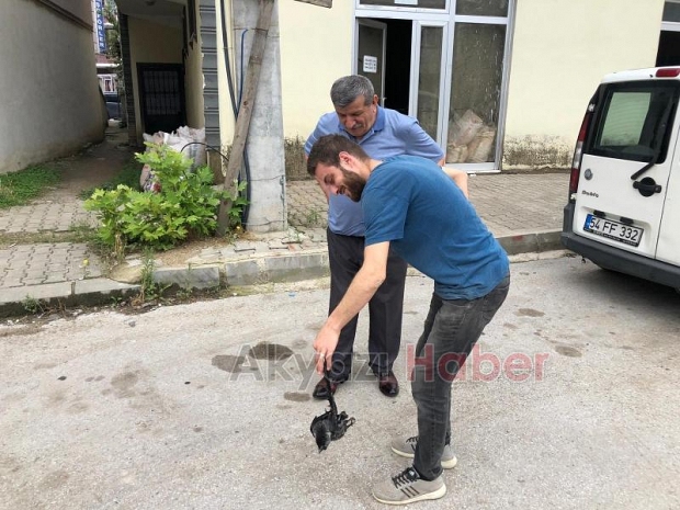 Karga Mahalleyi Elektriksiz Bıraktı