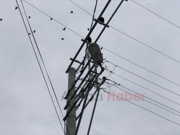 Karga Mahalleyi Elektriksiz Bıraktı