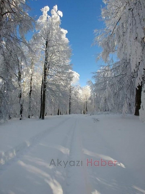 Kartpostallık kar fotoğrafları