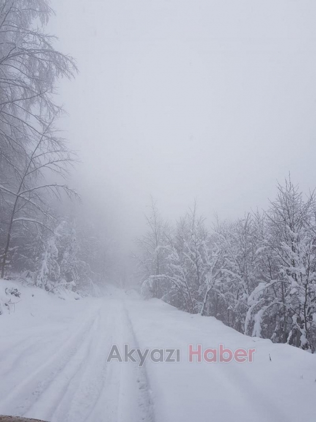 Kartpostallık kar fotoğrafları