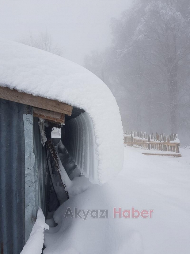 Kartpostallık kar fotoğrafları