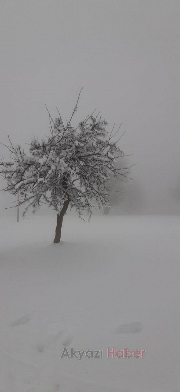 Kartpostallık kar fotoğrafları