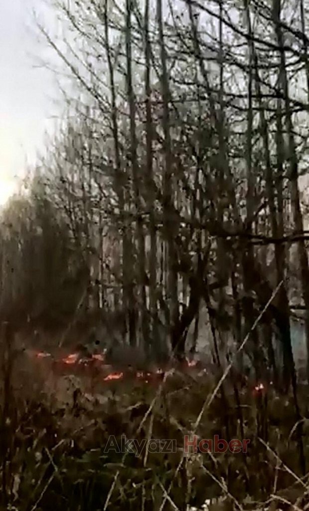 Kavaklıkta Çıkan Yangın Büyümeden Söndürüldü