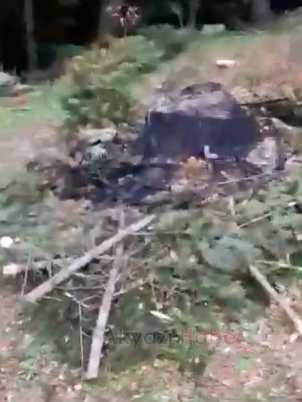 Keremali'de ağaç katliamı