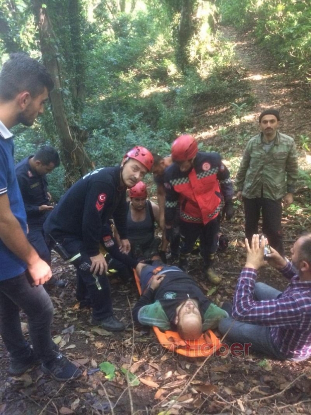 Kestane Toplamak için gitti uçurumdan aşağı düştü