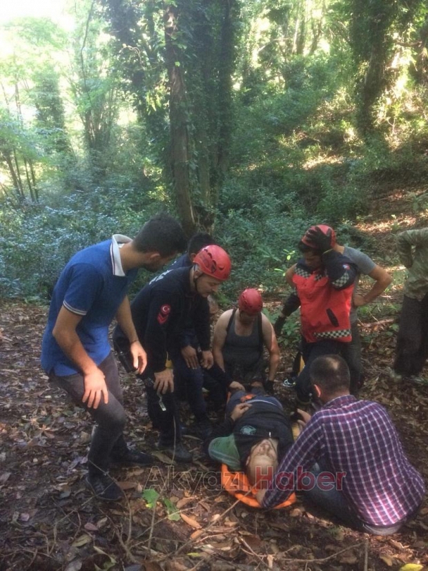Kestane Toplamak için gitti uçurumdan aşağı düştü