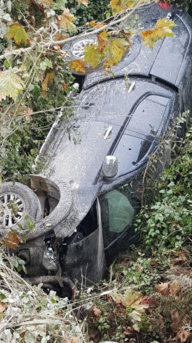 Kontrolden Çıkan Pikap Şarampole Uçtu