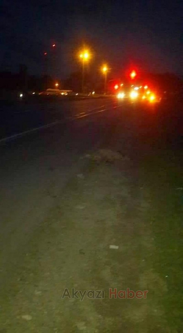 Köpeğe çarpıp öldürdü