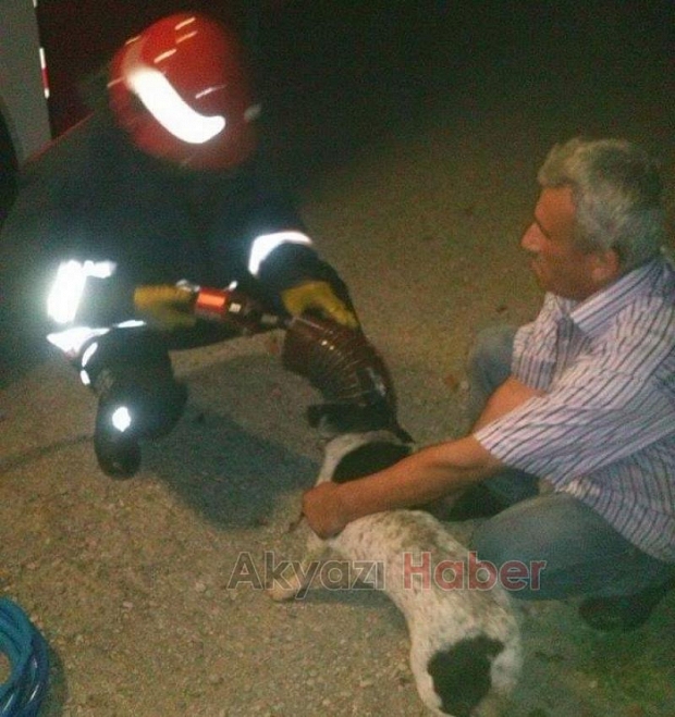 Köpek Kurtarma Operasyonu