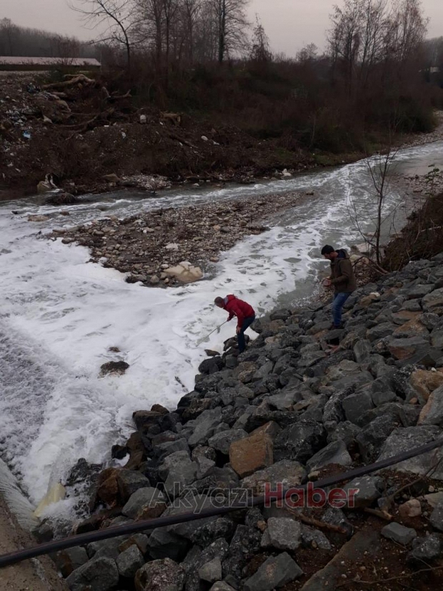 Küçücek Deresinde çevre felaketi