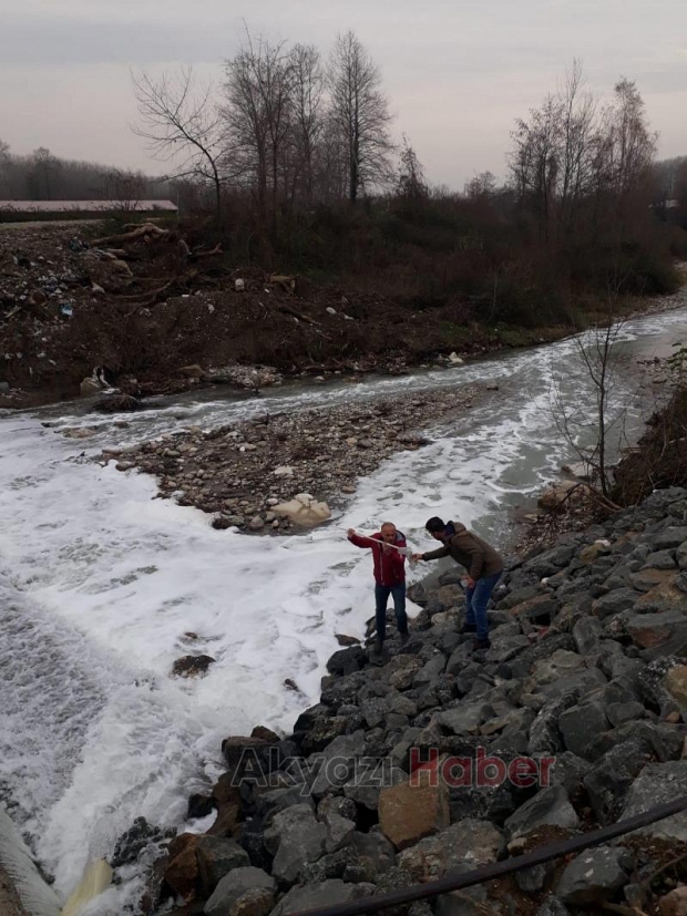 Küçücek Deresinde çevre felaketi