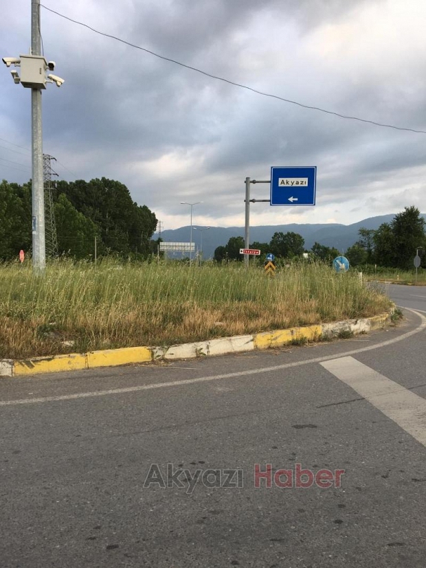 Küçücek Kavşağında ki Otlar Tehlike Saçıyor