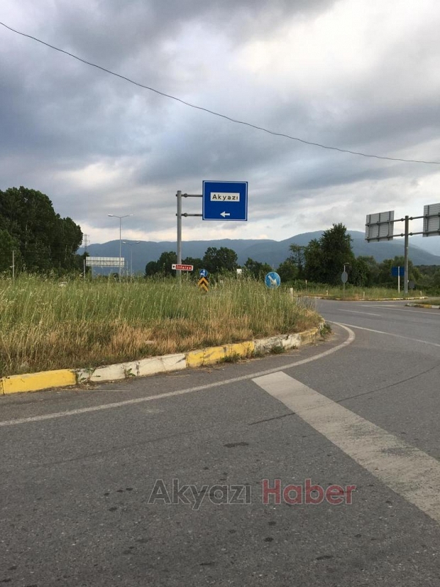 Küçücek Kavşağında ki Otlar Tehlike Saçıyor