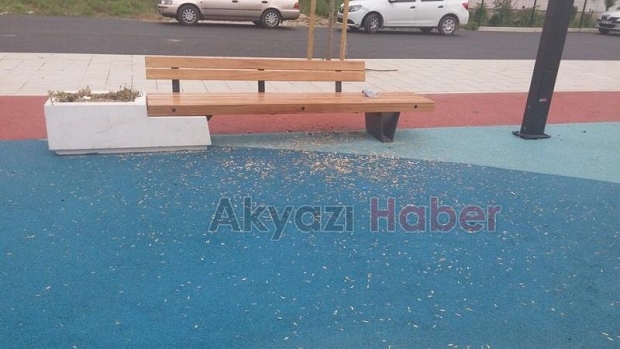 Kültür Parkında Yapılan Kültürsüzlük