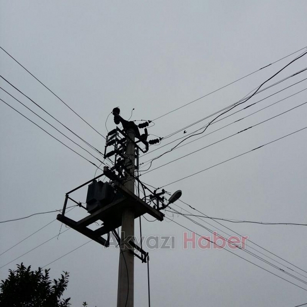 Kuş iki mahalleyi elektriksiz bıraktı