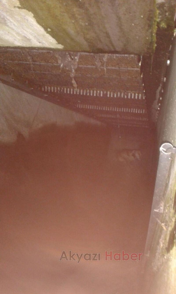 Kuyuya Düşen Köpeği İtfaiye Kurtardı