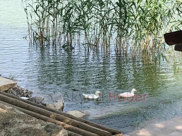 Kuzuluk Gölpark Hizmetinizde