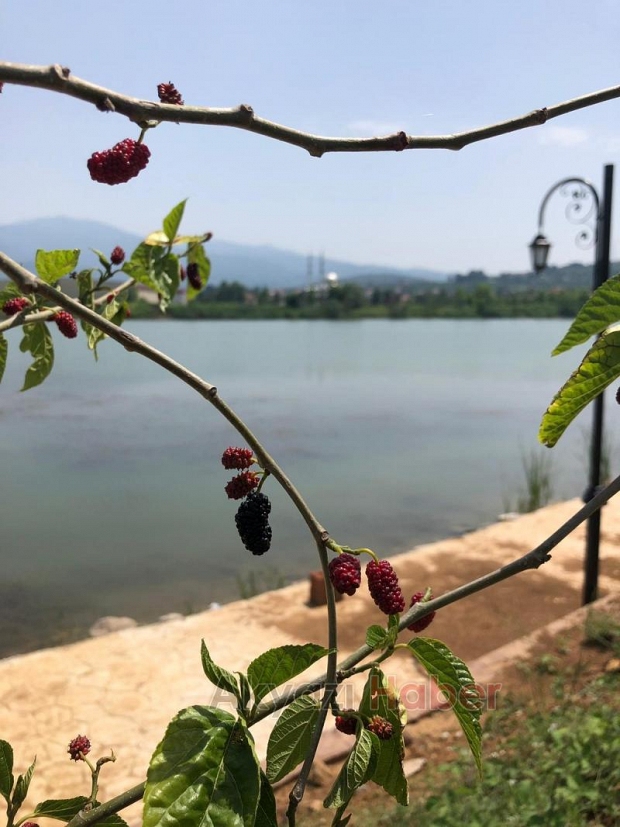 Kuzuluk Gölpark Hizmetinizde