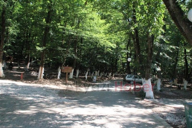 Kuzuluk Orman Park Piknik Alanı Hizmetinizde